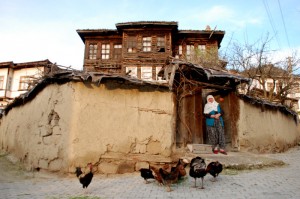 Tamay_Tarakli_3